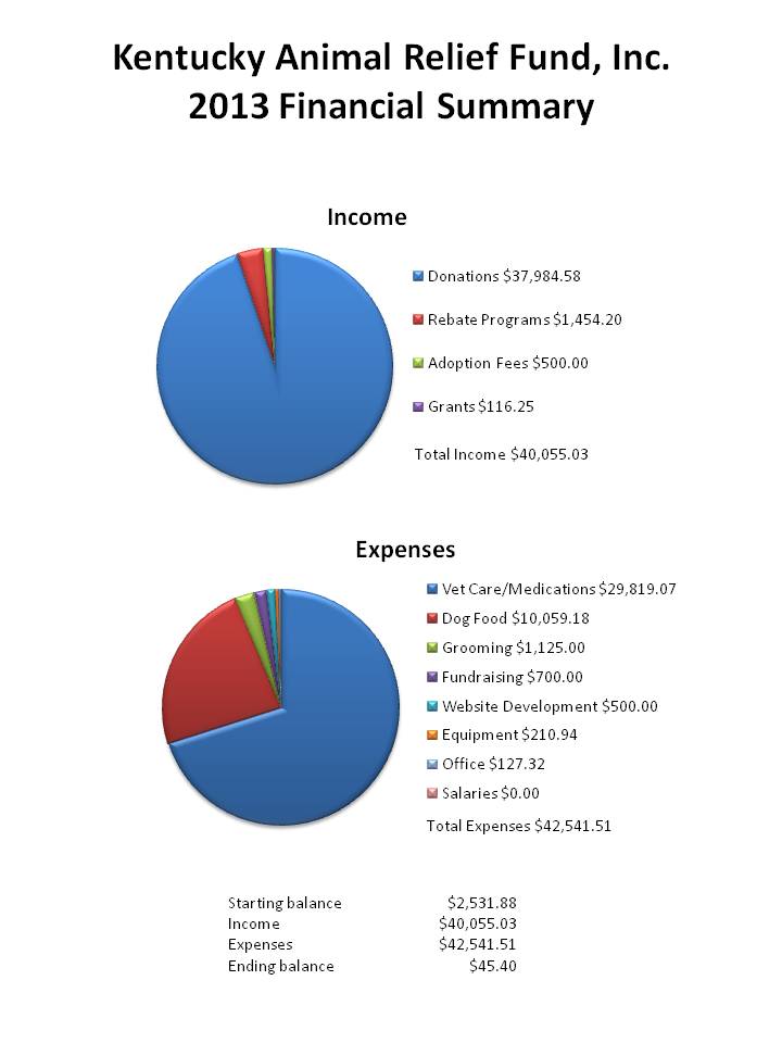 KARF 2013 Financial Statement