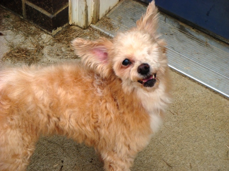 ANNIE~ Rest in peace