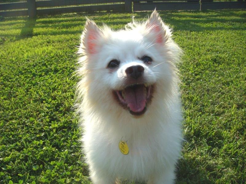 SUNSHINE